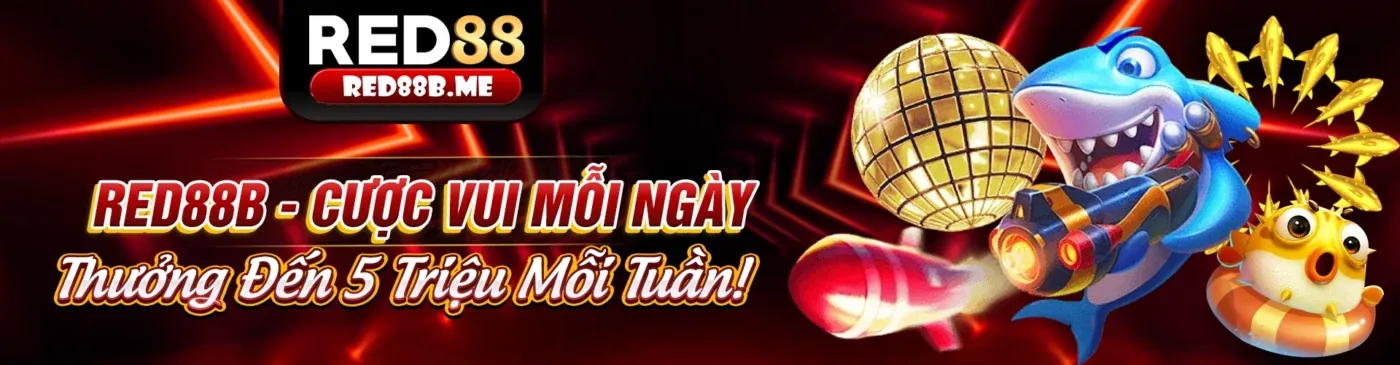 Chương trình VIP dk68 win với các đặc quyền độc quyền